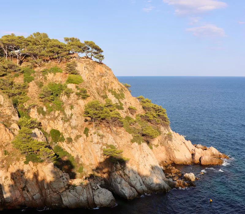 Mediterranean Drift