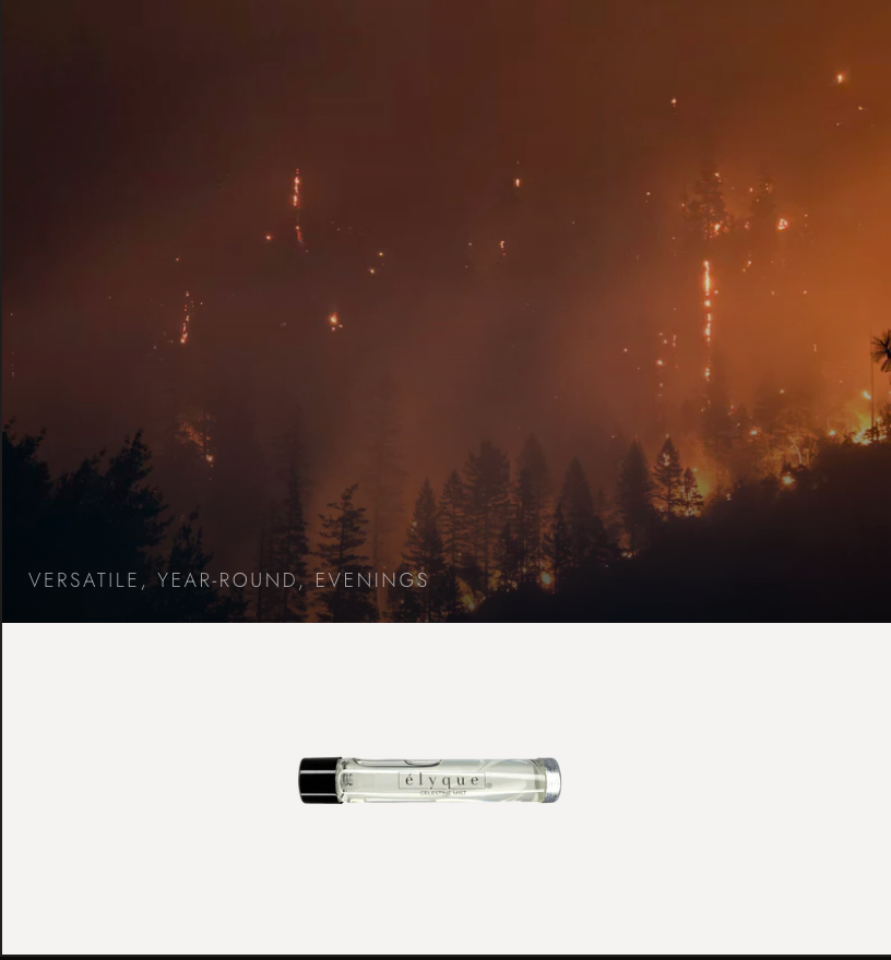 Wilderness Blaze
