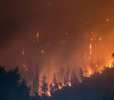 Wilderness Blaze mood