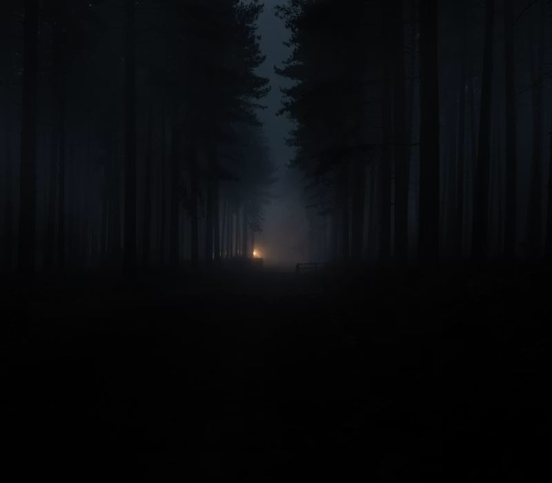 Wilderness Blaze