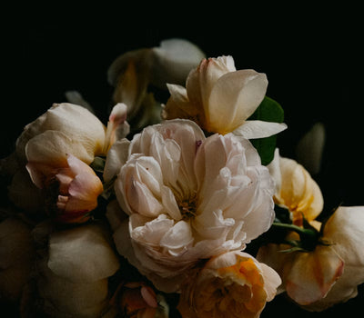 Golden Bloom mood